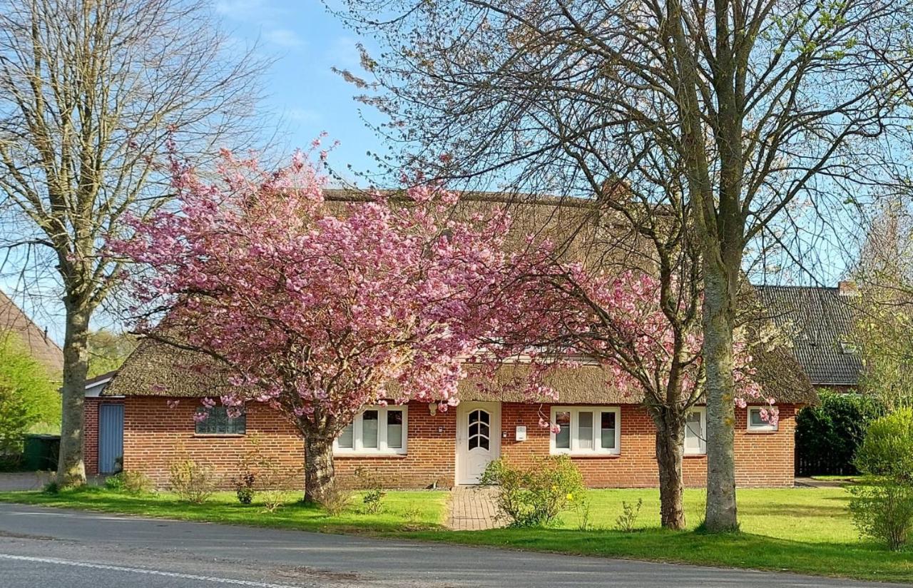 Entspannung Unter Reet Bordelum Exterior photo